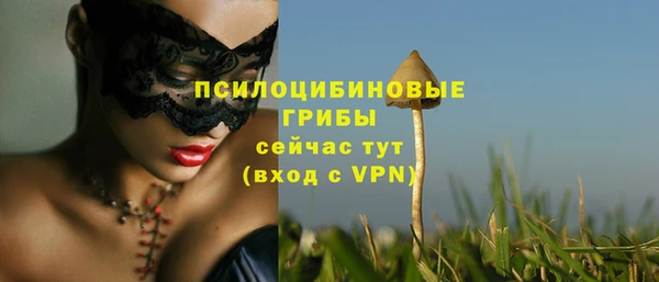 молекула духа Абаза