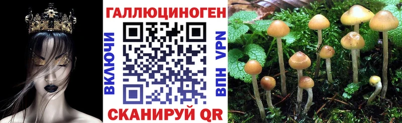 Псилоцибиновые грибы MAGIC MUSHROOMS  Тимашёвск 